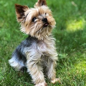 Meet your Posher, Kelly